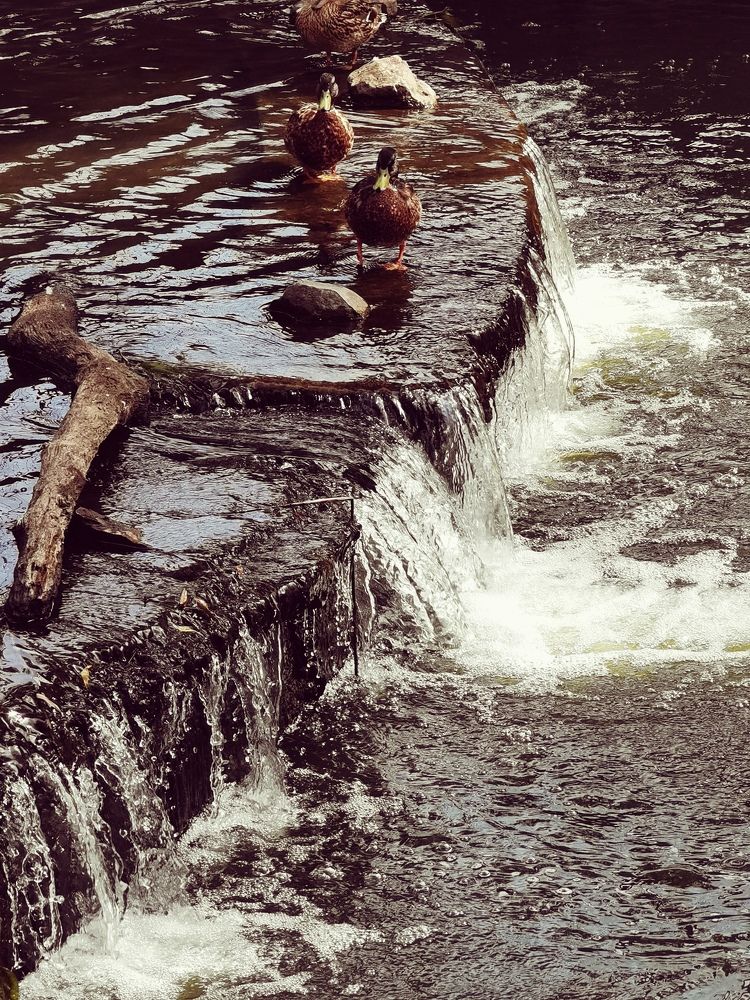 Photograph by Оксана Урбанович