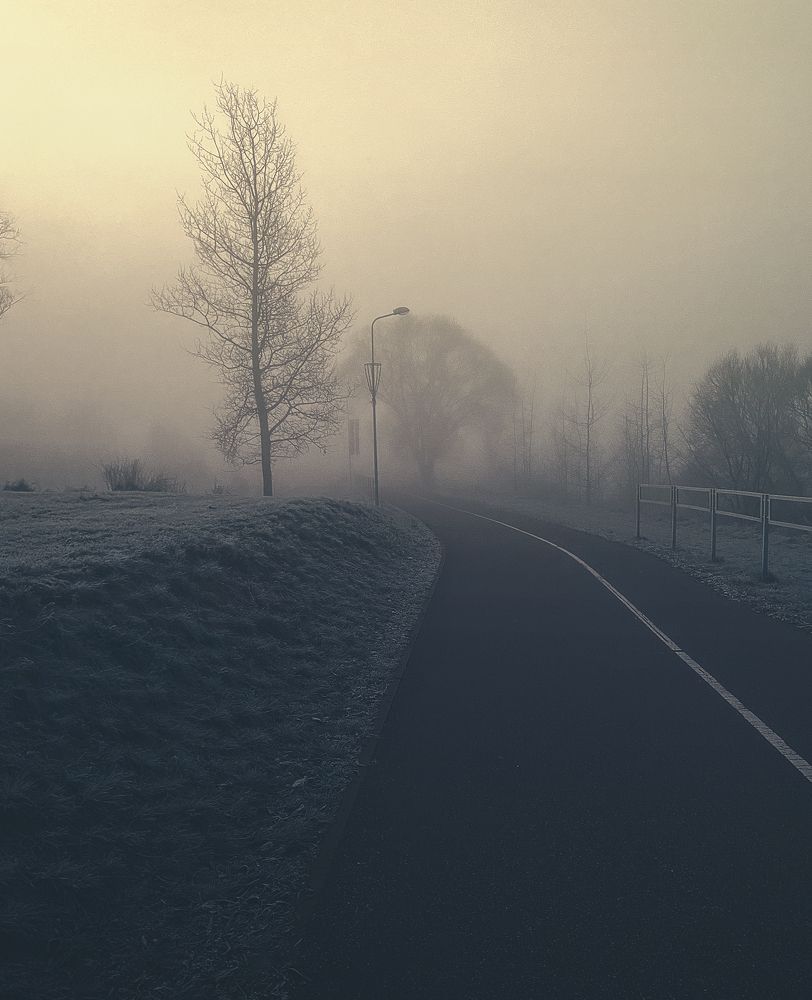 Photograph by Diana Mi