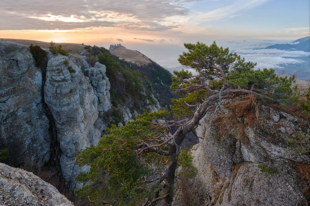 Photograph by Андрей Прищепин