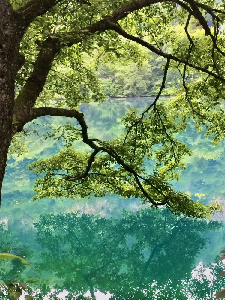 Photograph by Juli-sunny