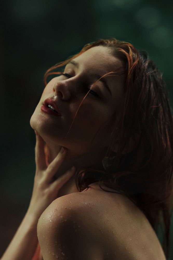 Фотография автора Александр Нестеренко