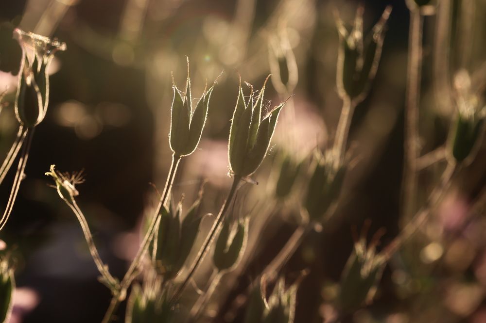 Photograph by Борис Баринов