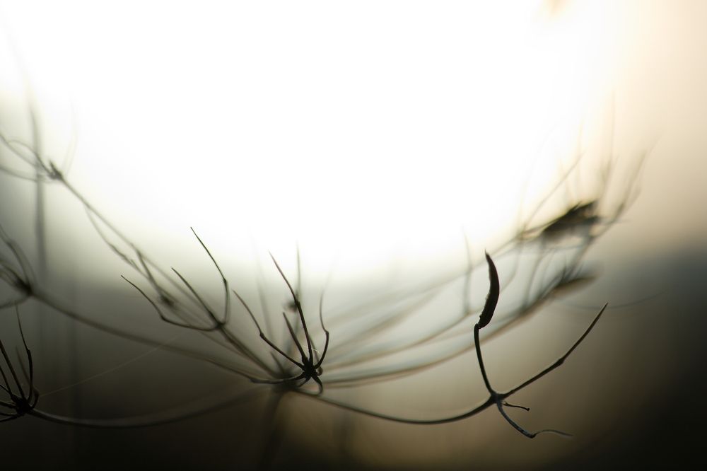 Photograph by Борис Баринов