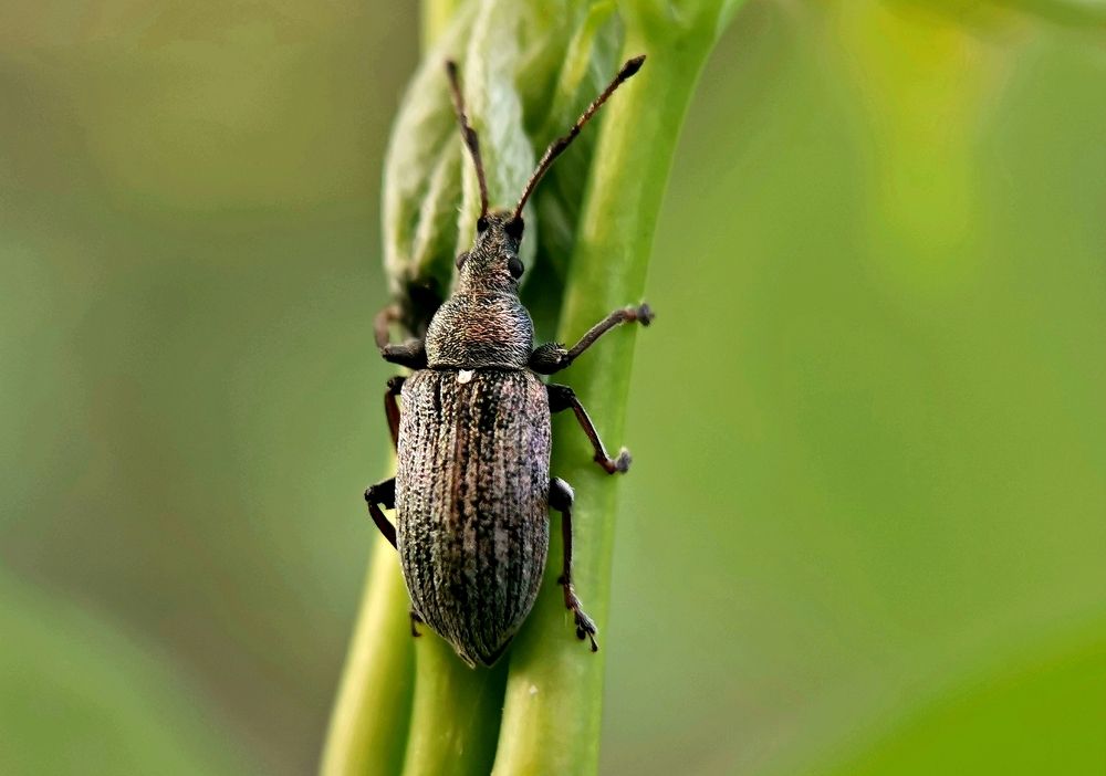 Photograph by Игорь Носков (Домненко)