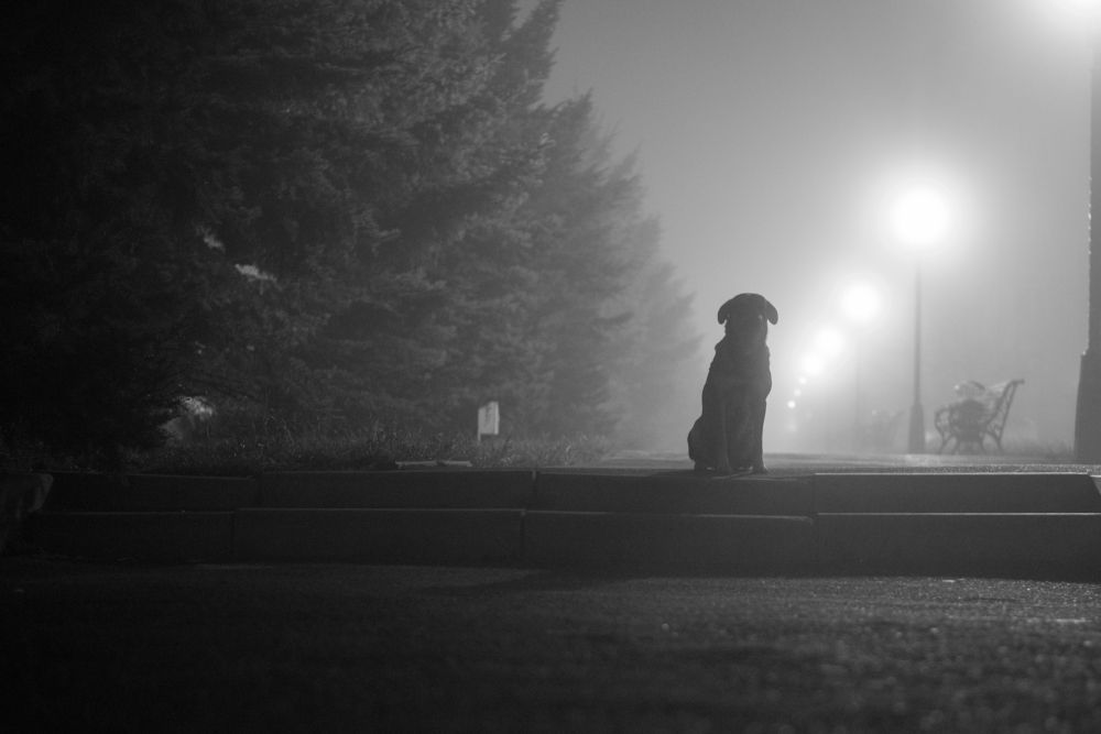 Photograph by Евгения Кузьмичева