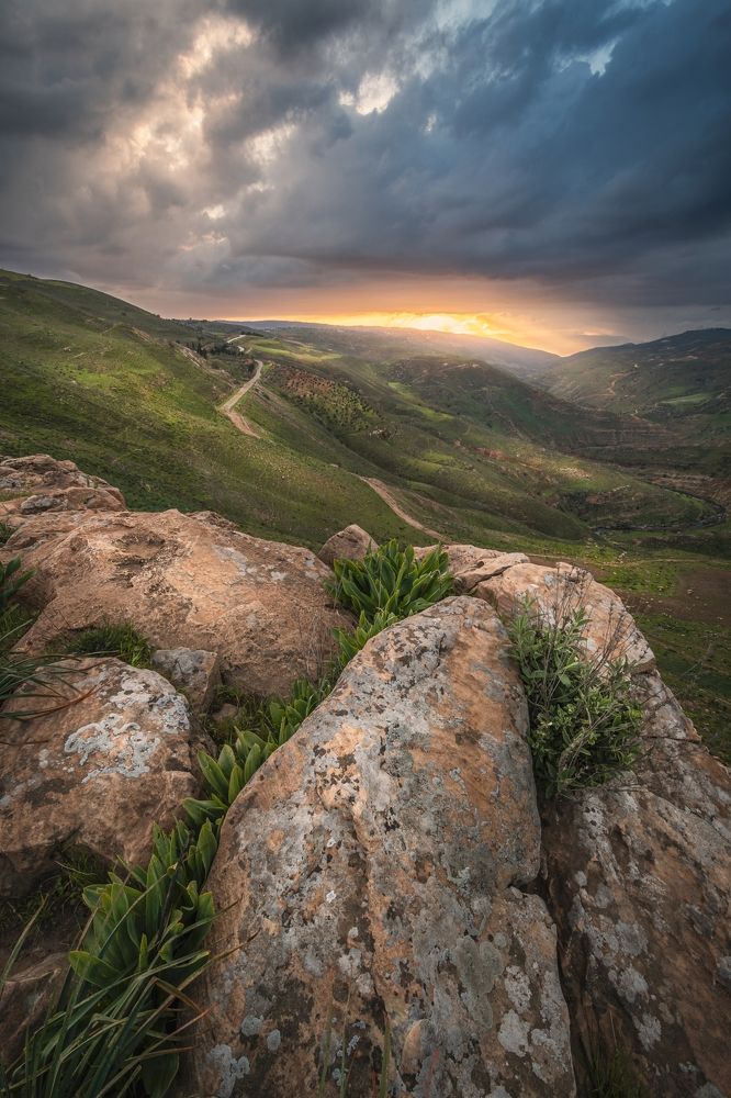 Photograph by Sleiby Hussam