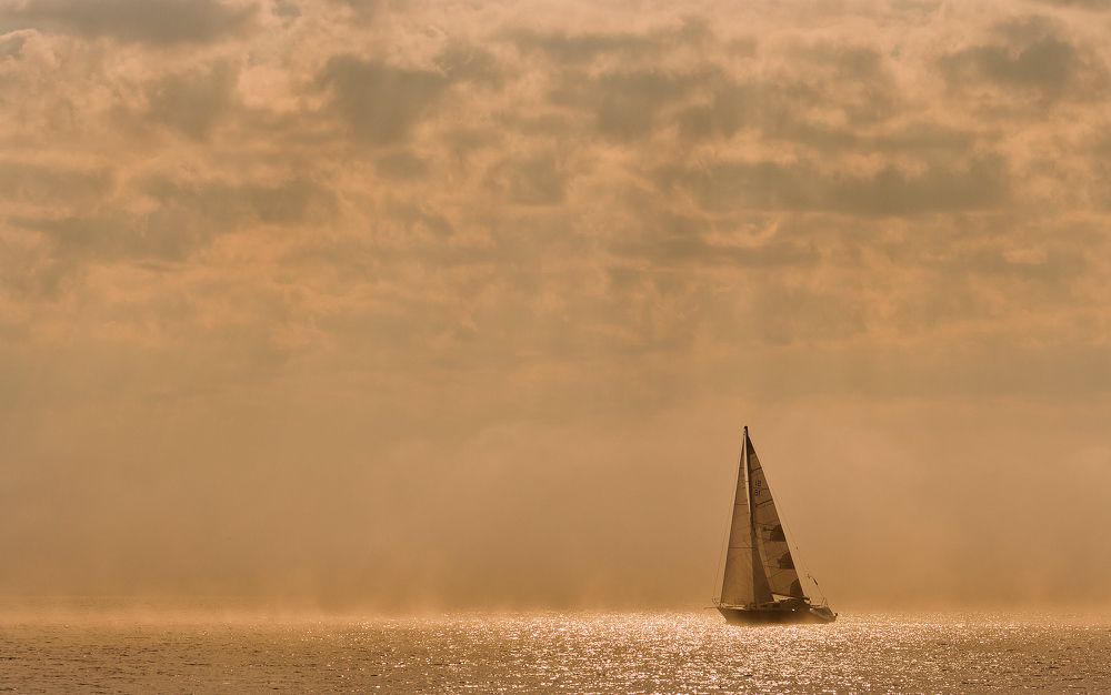 Photograph by Алексей Трофимов