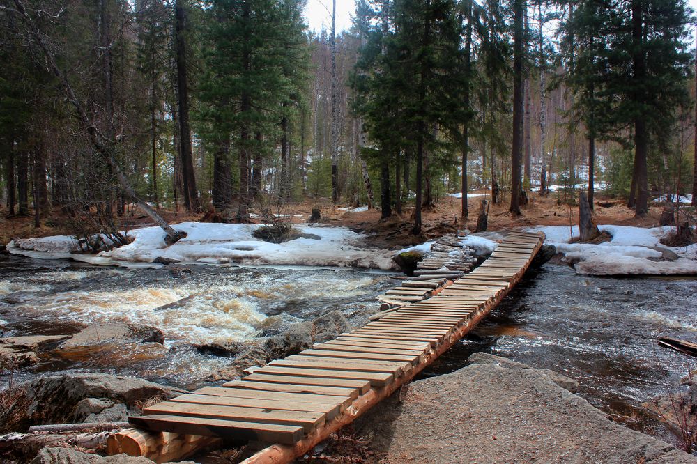 Photograph by Анна Киселёва