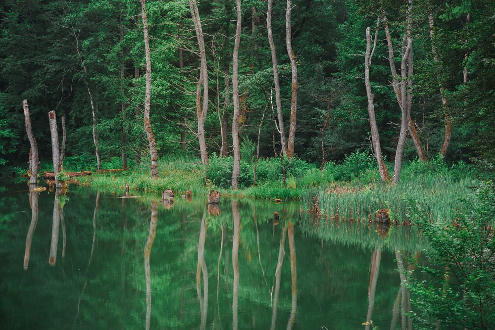 Photograph by Лолита Биттирова