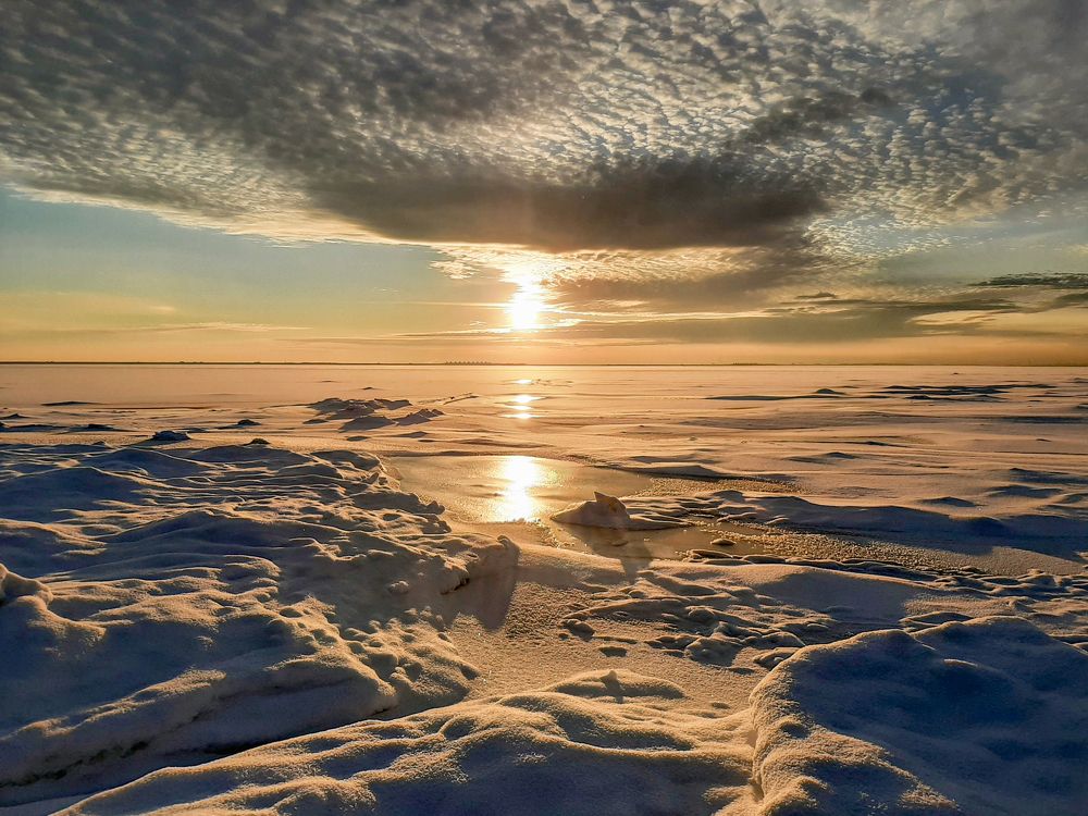 Photograph by Olga Smirnova