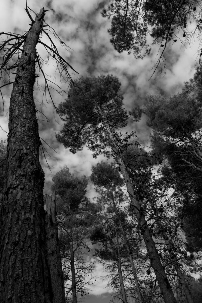 Photograph by Wafae Koubaa