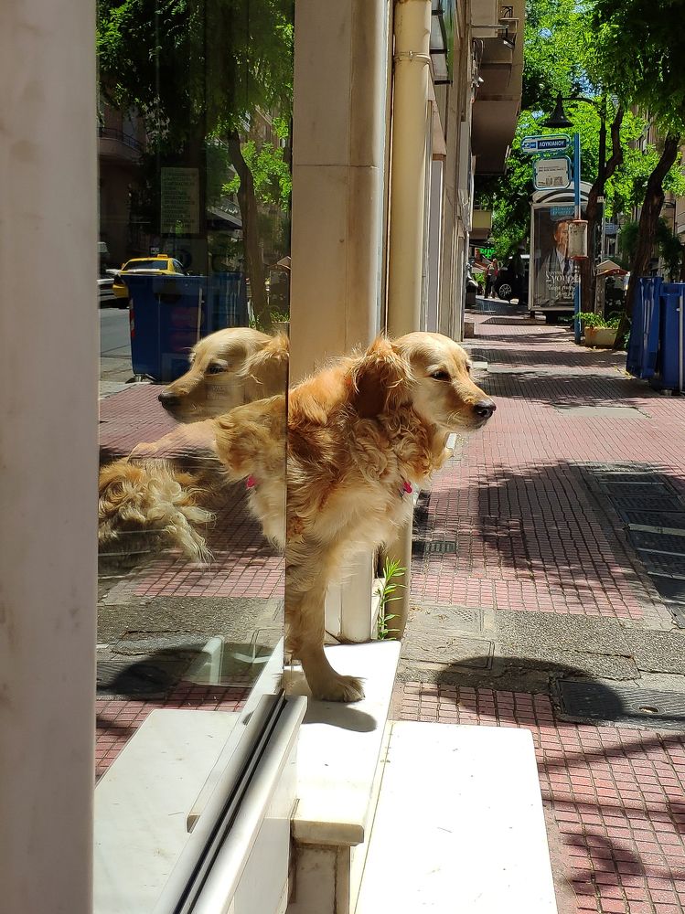 Photograph by Георгий Акопджанов