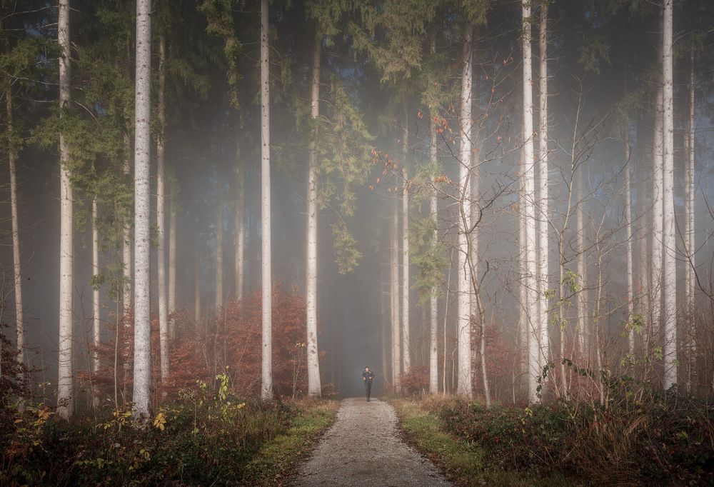 Фотография автора Alex Emelyanov