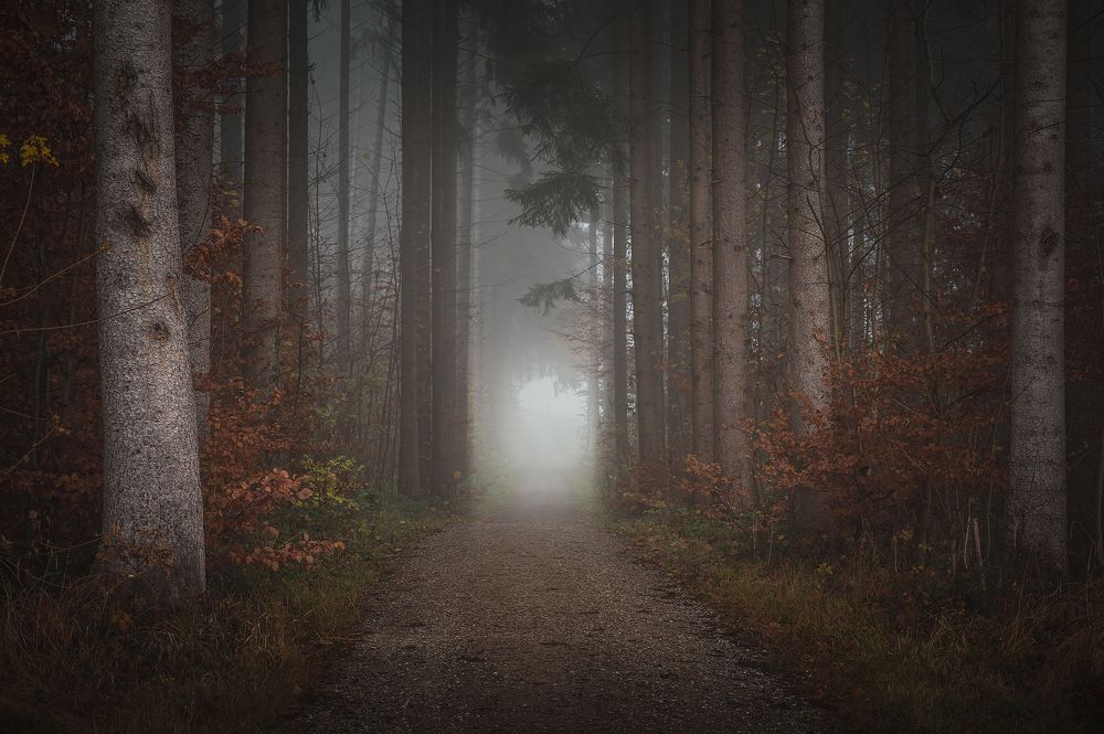 Фотография автора Alex Emelyanov