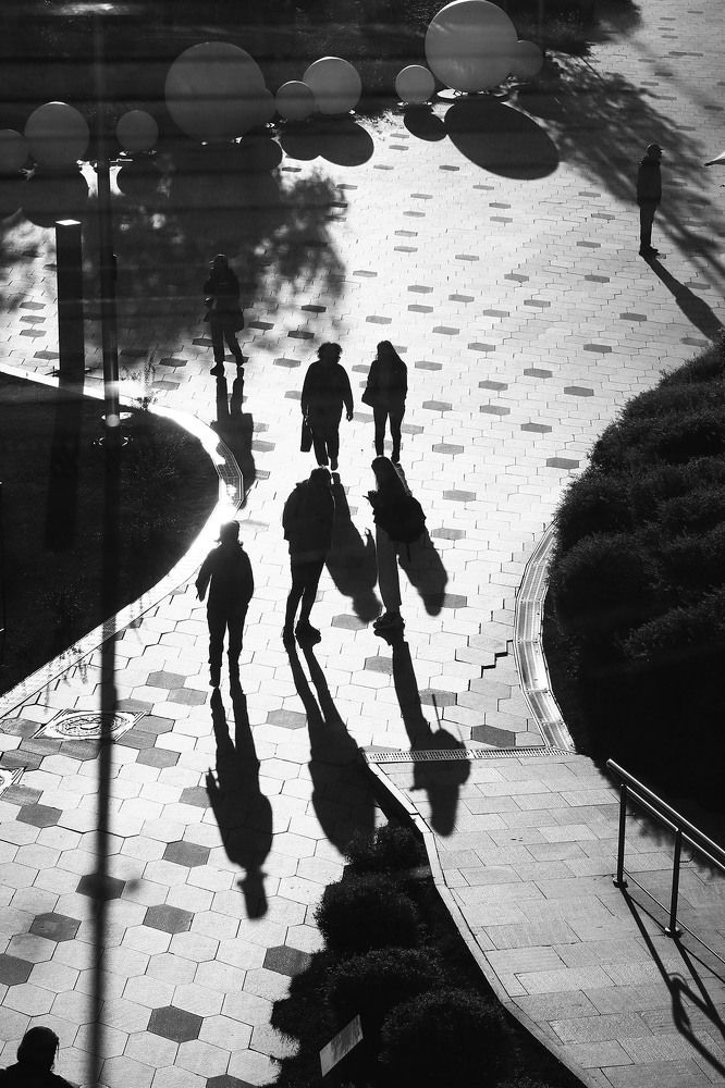 Люди и тени