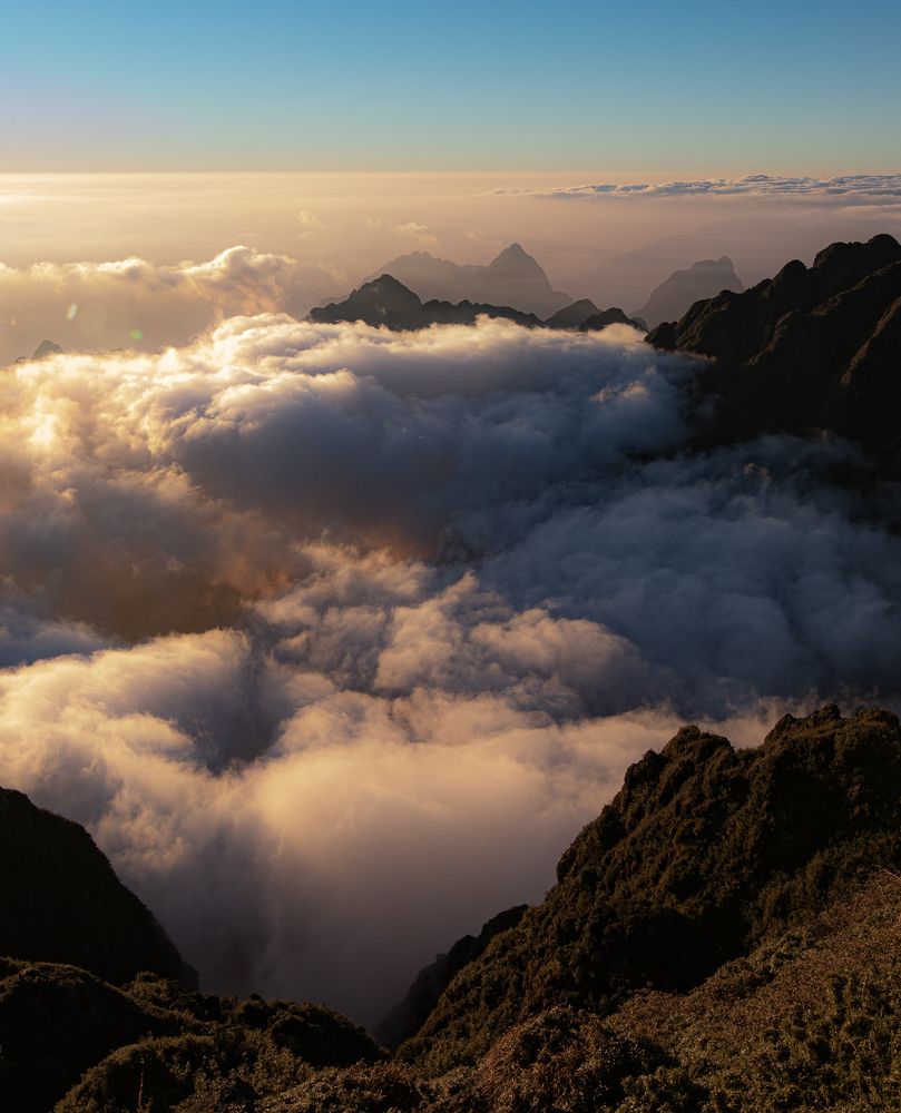 Photograph by Kevin Nguyen