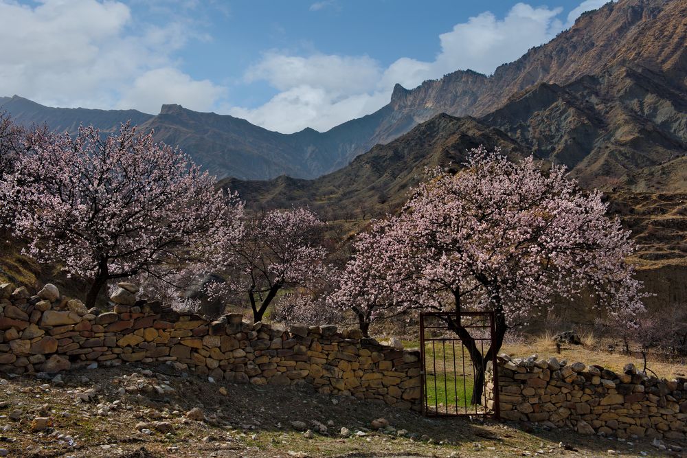 Photograph by Александр КАИ