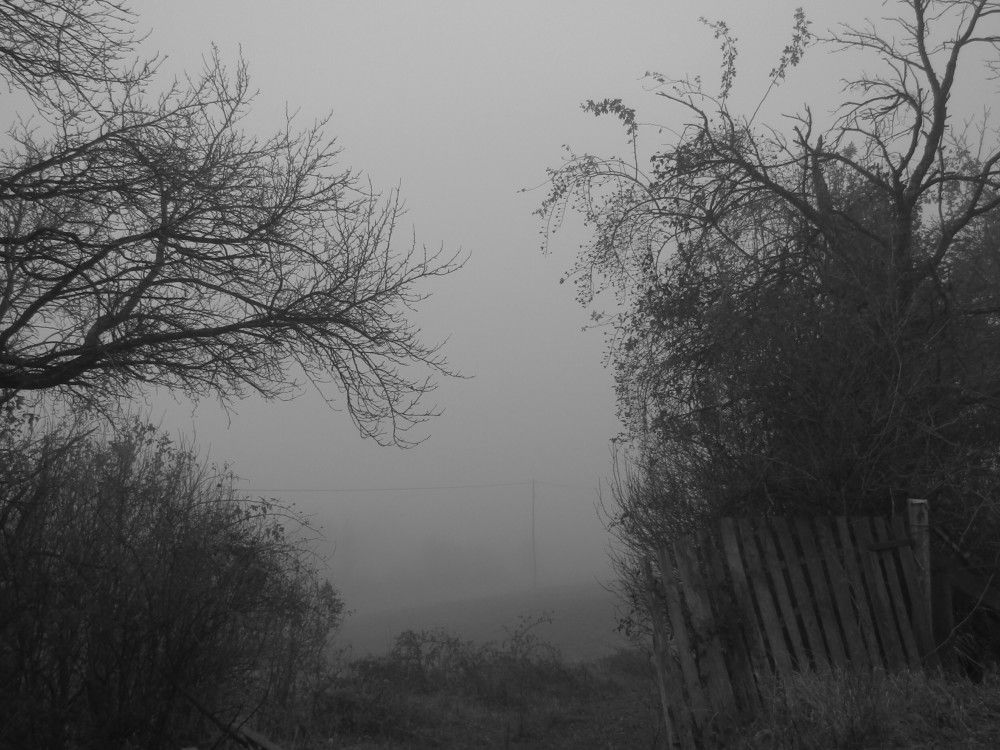 Photograph by Darko Milojevic