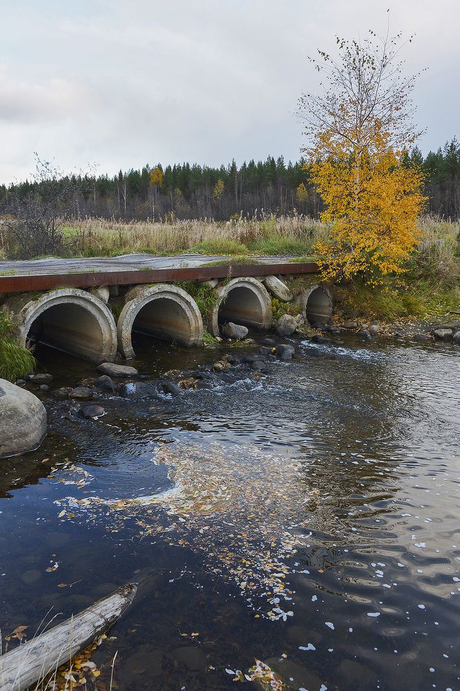Сельский пейзаж с мостом