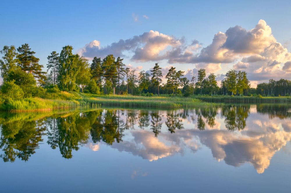 Photograph by Albina Kulikova