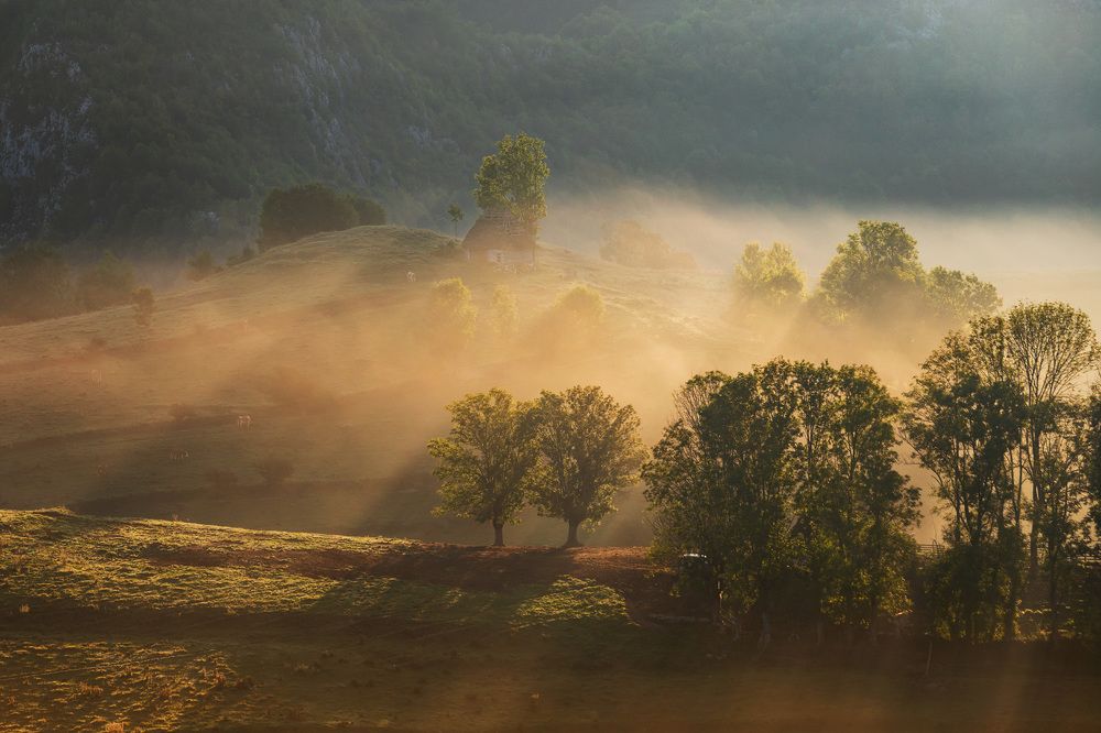 Photograph by Alex Coman