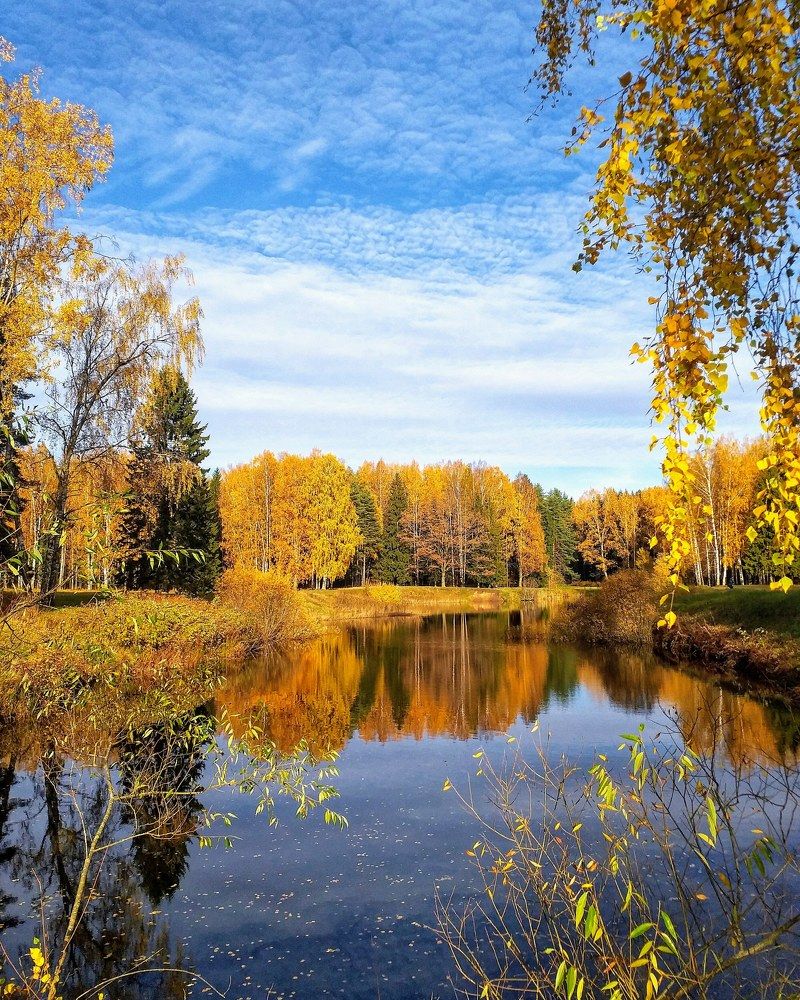 Photograph by Светлана Попова