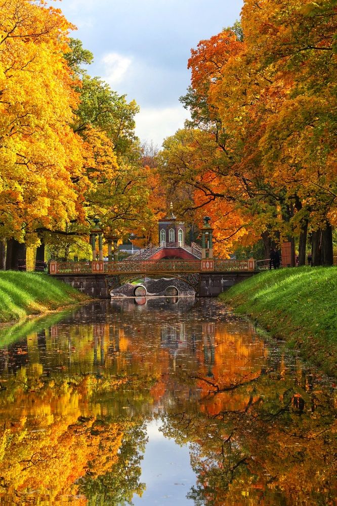 Photograph by Светлана Попова