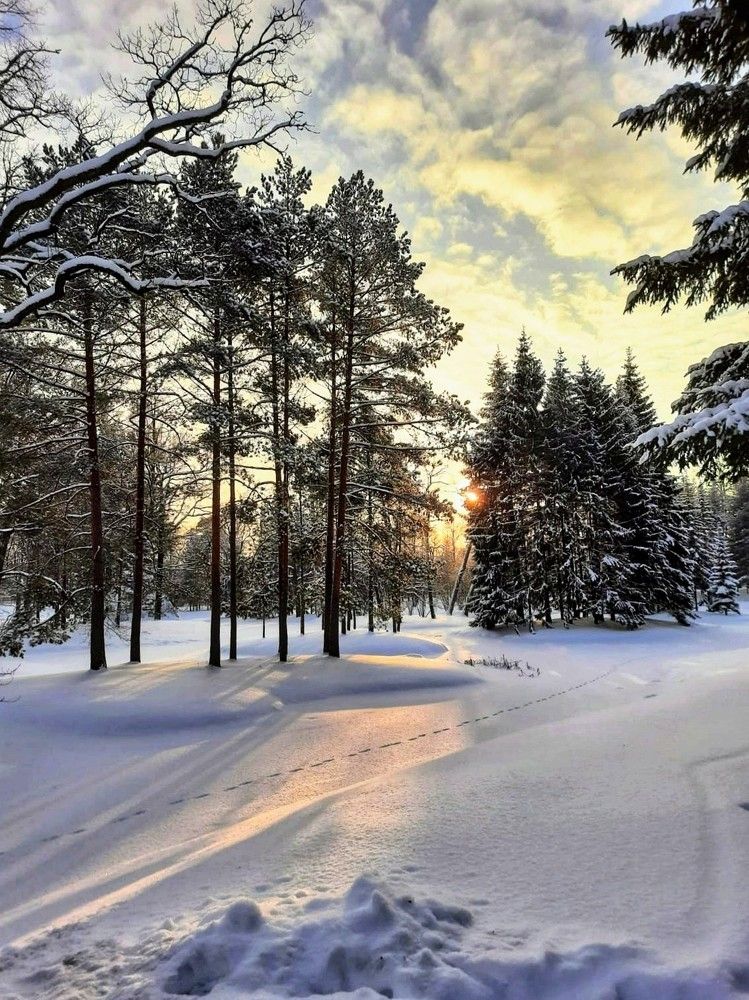 Photograph by Светлана Попова