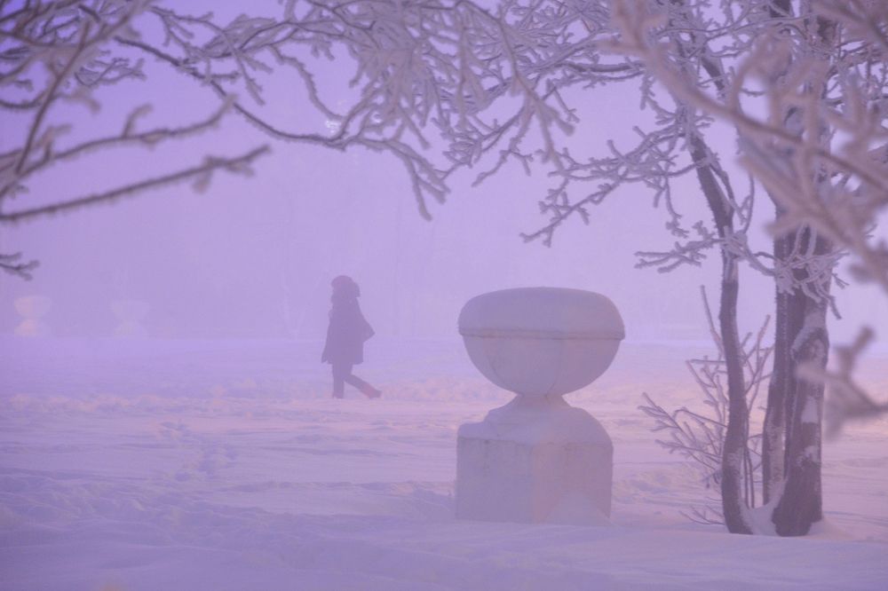 Сиреневый туман