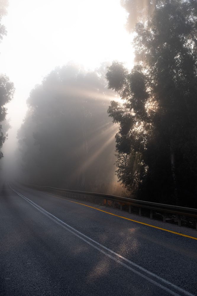 Photograph by Mike Sappojnikoff