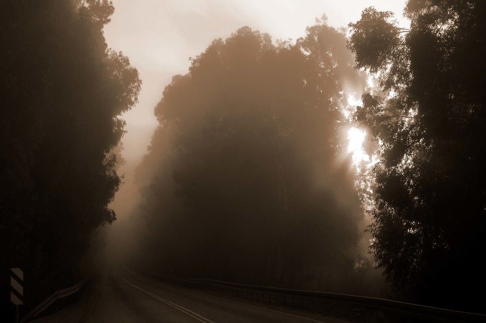 Photograph by Mike Sappojnikoff