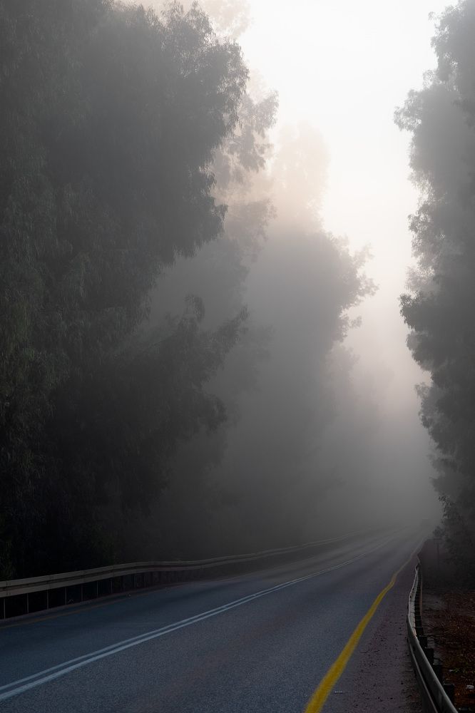 Photograph by Mike Sappojnikoff