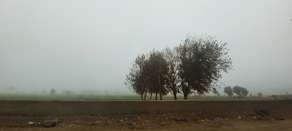 Фотография автора Adel elqamhawi Mohamed