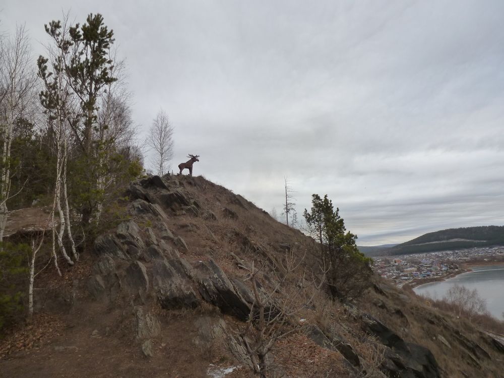 Photograph by оксана