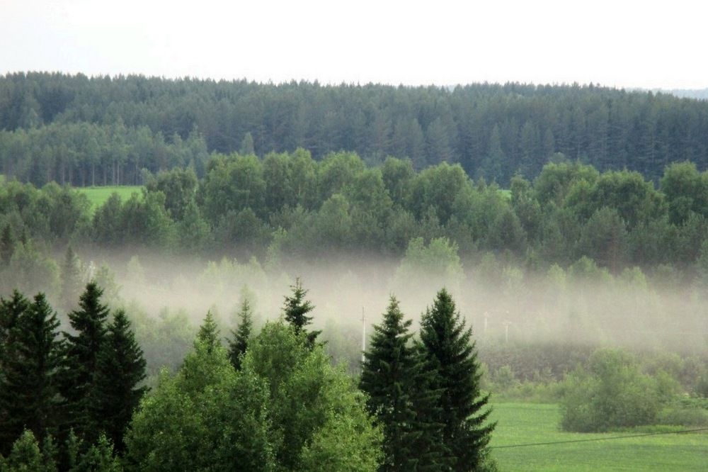 Photo #6884394