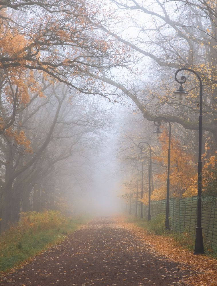 Photograph by Юрий Чернов