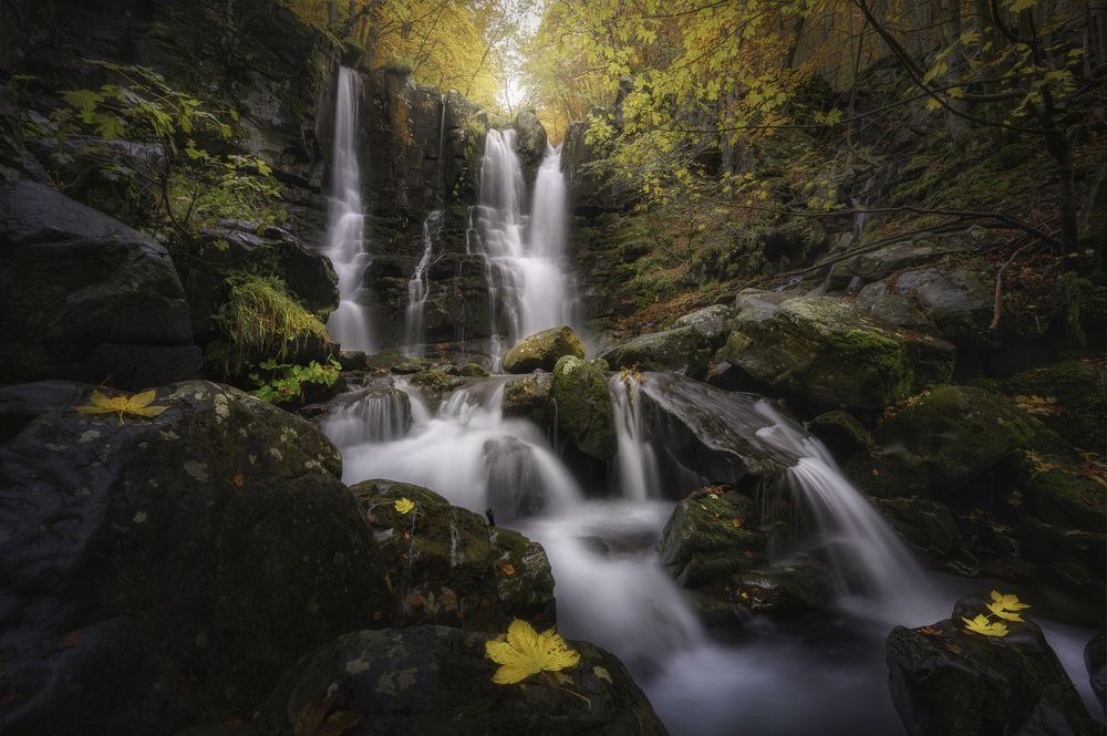 Photograph by NICOLA MANFREDI