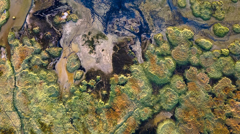 Photograph by Mojgan Nikogoftar