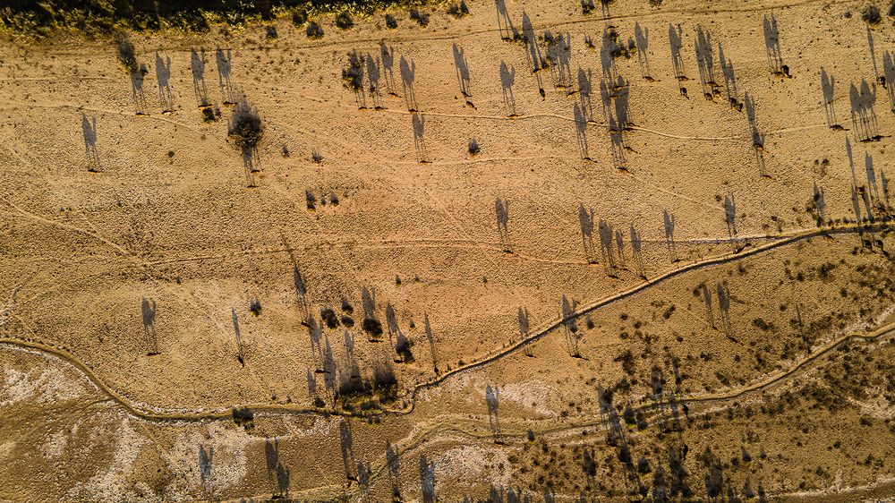 Photograph by Mojgan Nikogoftar