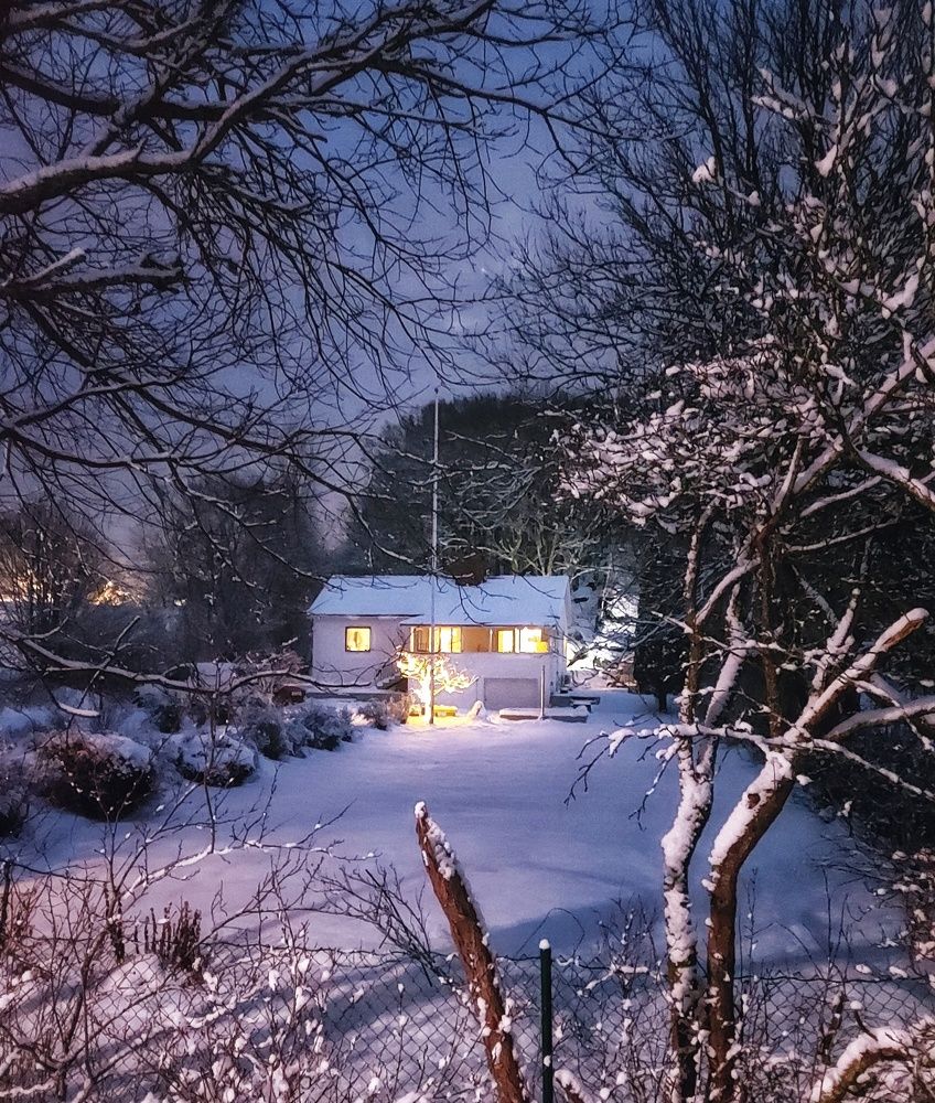 Фотография автора Alina Filimonova