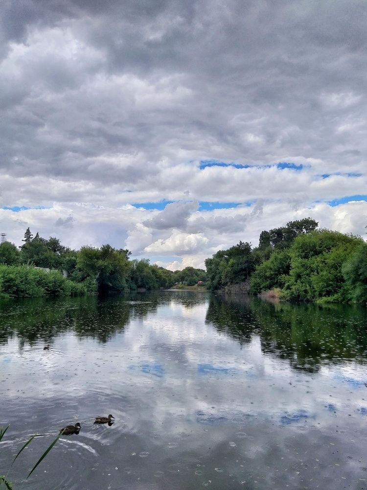 Photograph by Вера Родионова