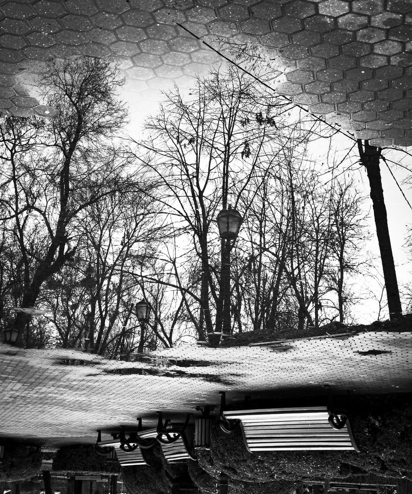 Photograph by Igor Filipenco