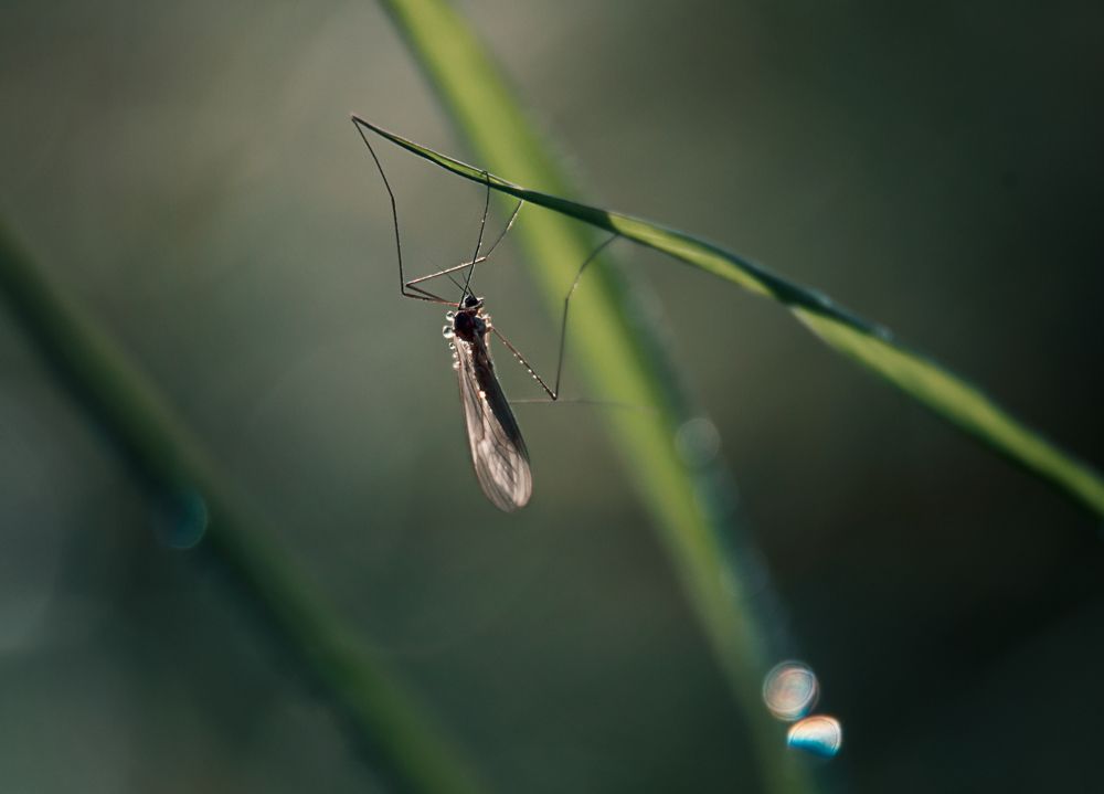 Photograph by Наталья Быстрая