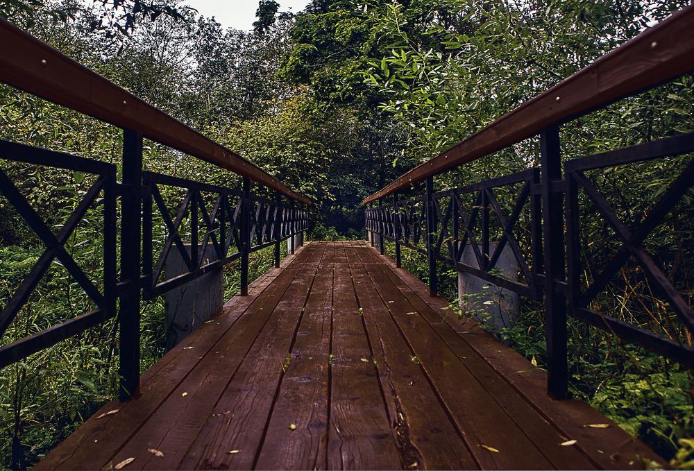 Photograph by victoria chaikova