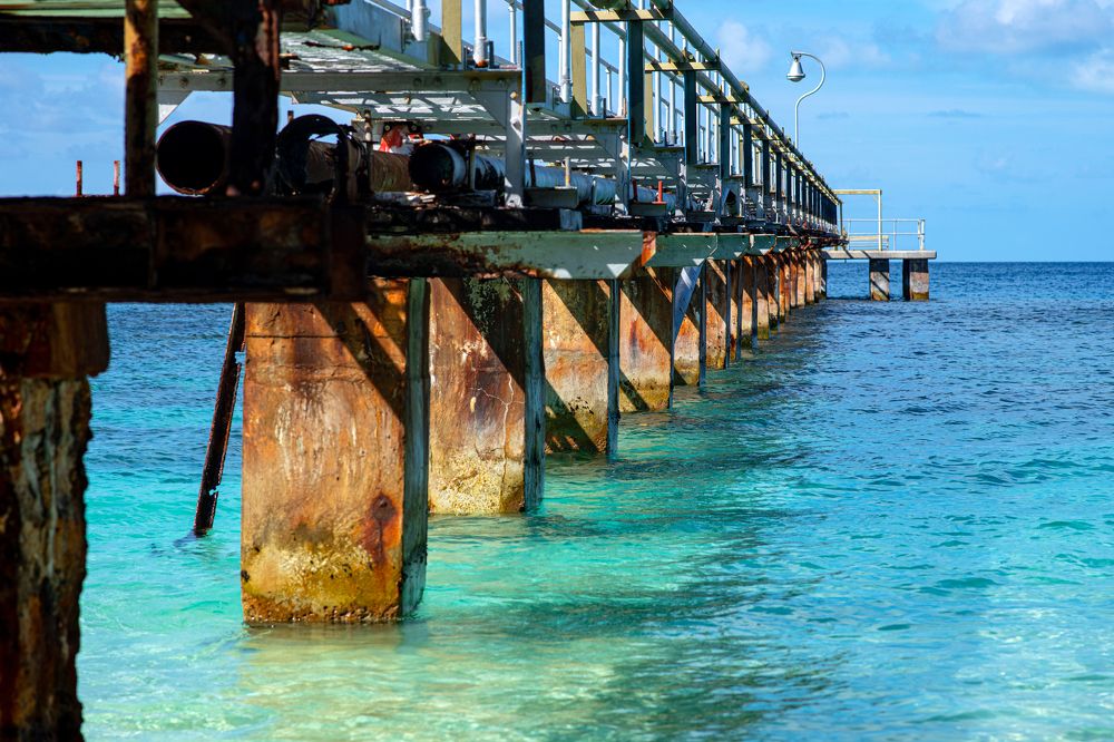 Photograph by victoria chaikova