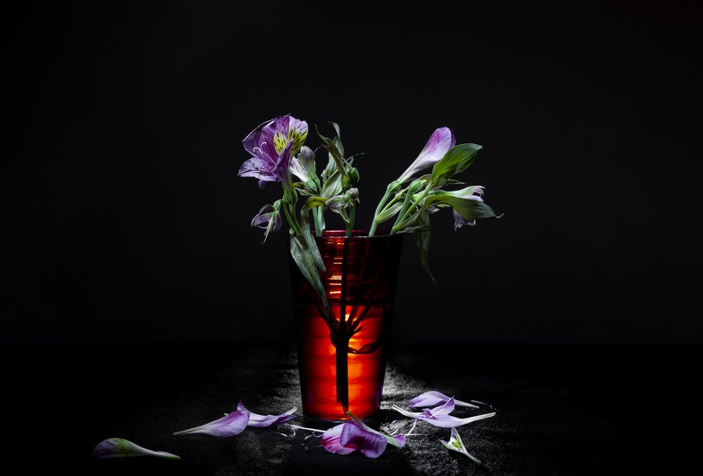 Photograph by Changiz Jalayer