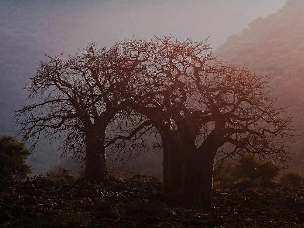 Photograph by Андрей Панин