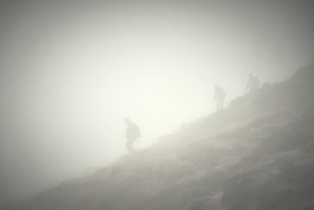 Photograph by Андрей Халемонец