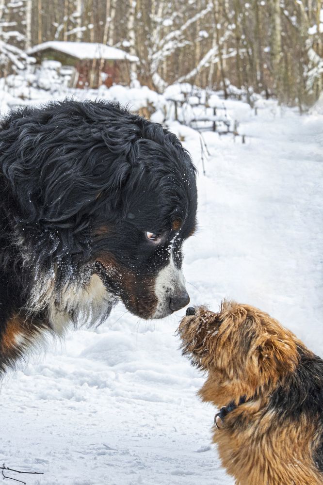 Photograph by Юлия Куликова