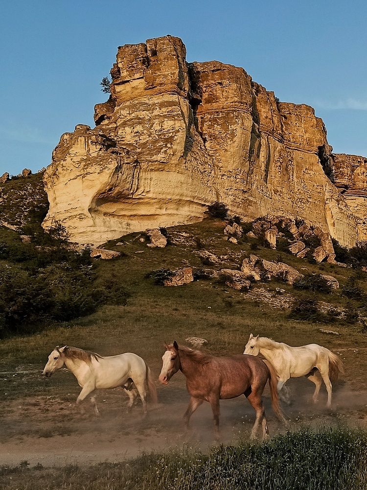 Photograph by Михалыч